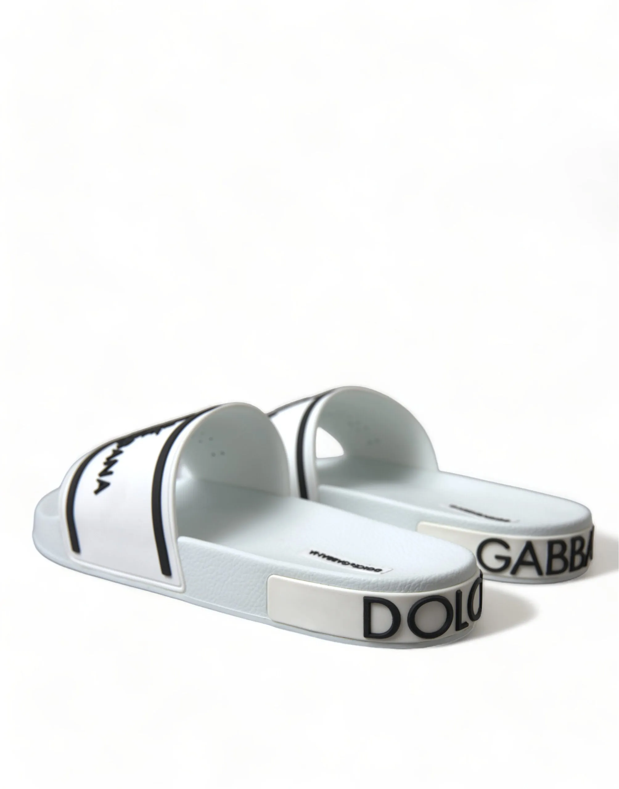 Chic White and Black Logo Slides
