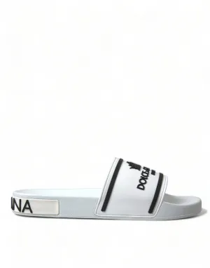 Chic White and Black Logo Slides